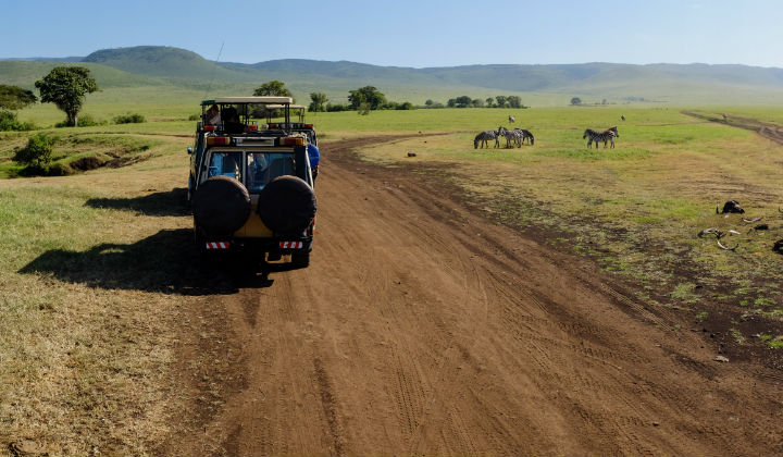 5 unforgettable safari holidays